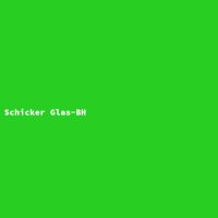Schicker Glas-BH