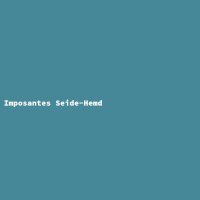 Imposantes Seide-Hemd